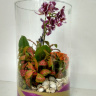Флорариум с Орхидеей 