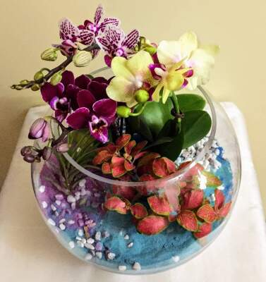 Купить цветочные композиции и корзины цветов в Барнауле